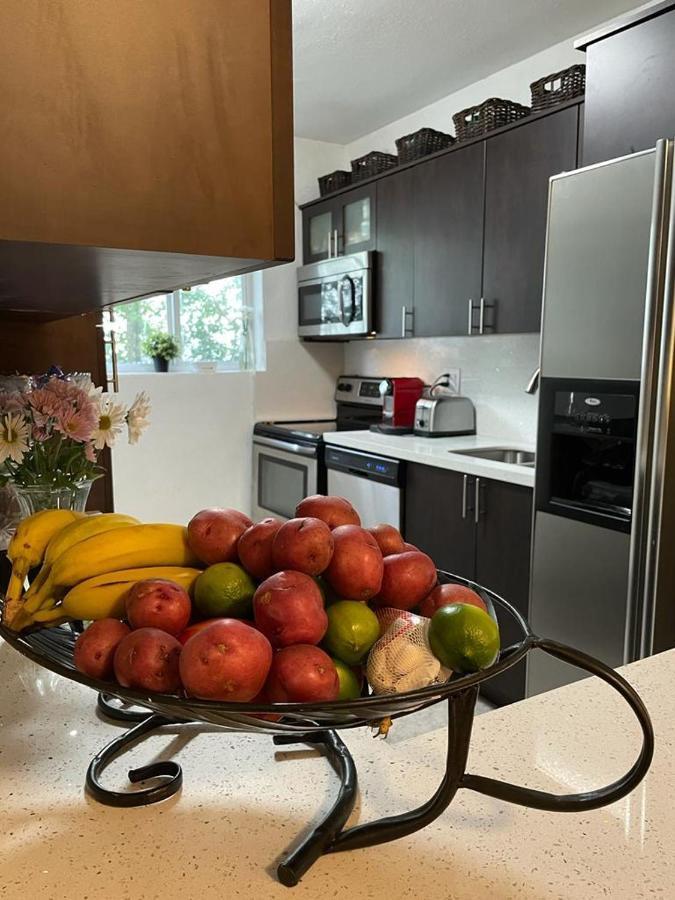 Brazilian Home 科勒尔盖布尔斯 外观 照片